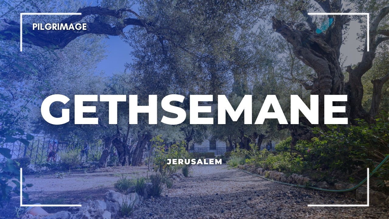 Гефсимания: Масличный сад и базилика Страданий | Паломничество на Масличную гору