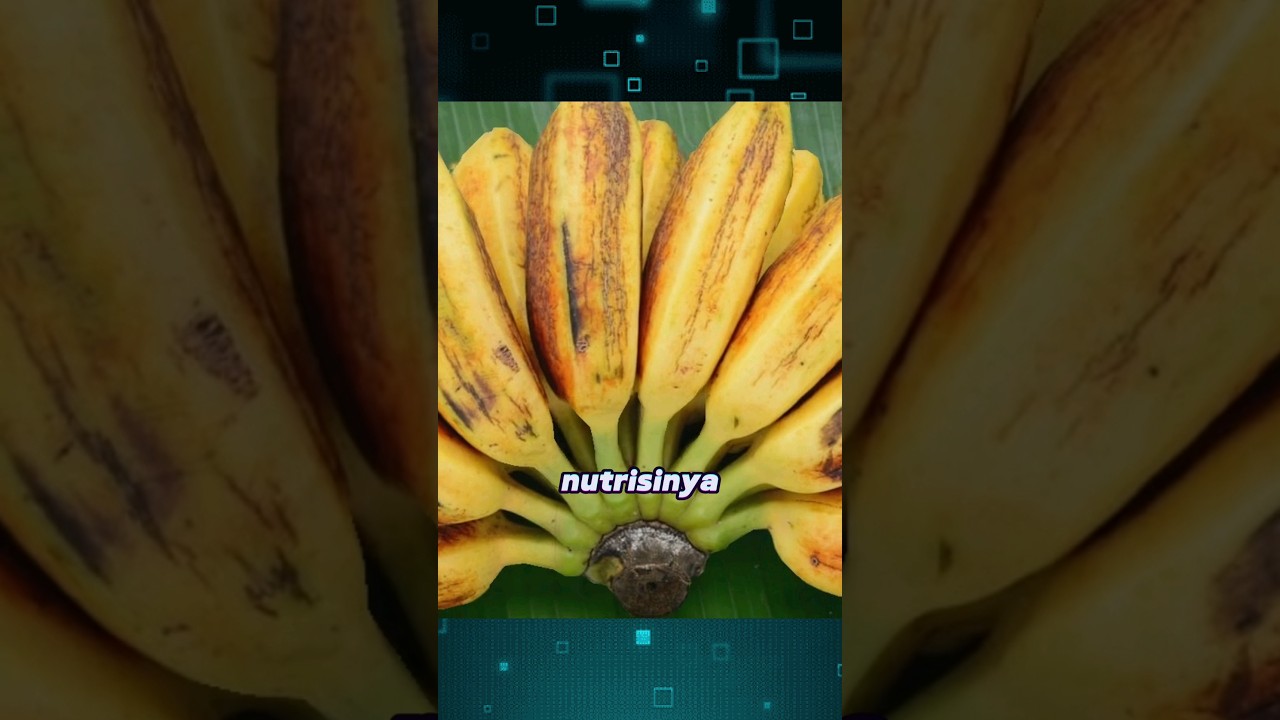 Fakta manfaat pisang kepok untuk kesehatan
