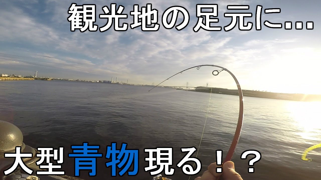 【赤レンガ倉庫】12月中旬みなとみらい調査釣行！神奈川県横浜市の有名観光地の前にある公園の足元で、釣った小魚の泳がせ釣りをしていたら…！【2020.12.14】