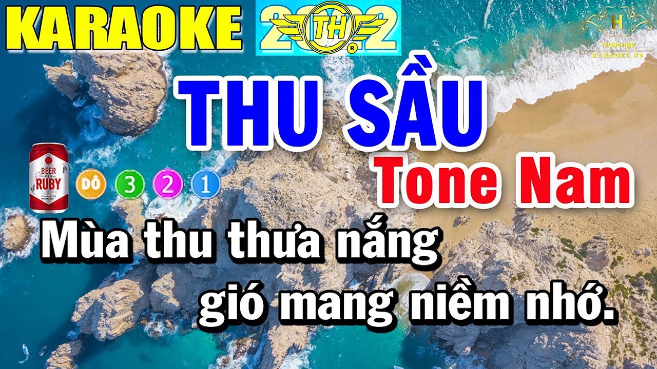 Thu Sầu Karaoke Tone Nam( Dm ) Nhạc Sống | Trọng Hiếu