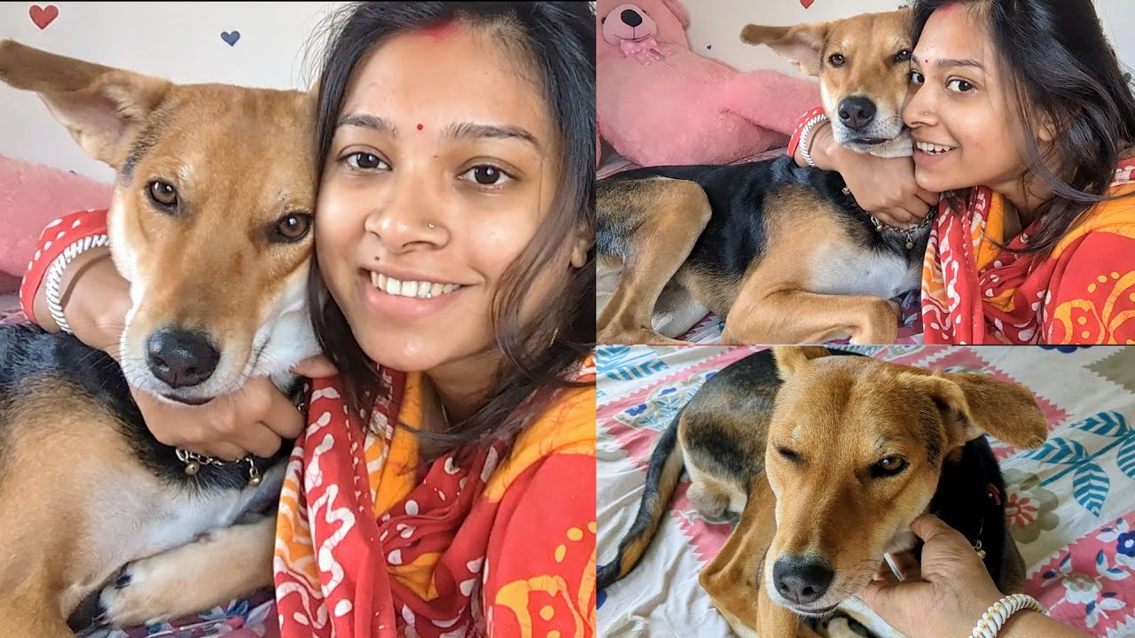 ডোডো দেখো চোখ মারছে 😜❤️ ll Creative Piyasha #vlog #dailyvlog #viral