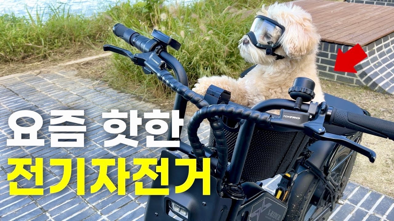 여자가 타기에도 좋은 자토바이 엑스라이더 x50 전기자전거 1년 사용 후기!!!