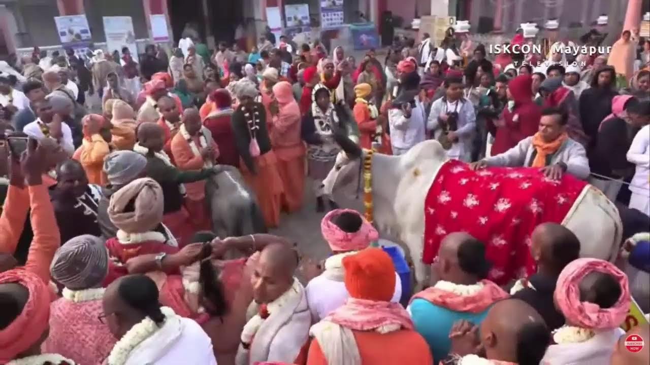 Welcoming World Top Book Distributor (Sankirtan Devotees) To Sriham Mayapur The Home Place