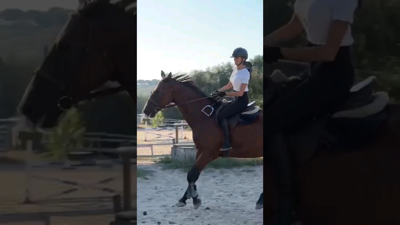 Galoppo  #horse#galoppo#equitazione#horses#equitation#cavalli#horseriding#equine #cheval#horselover
