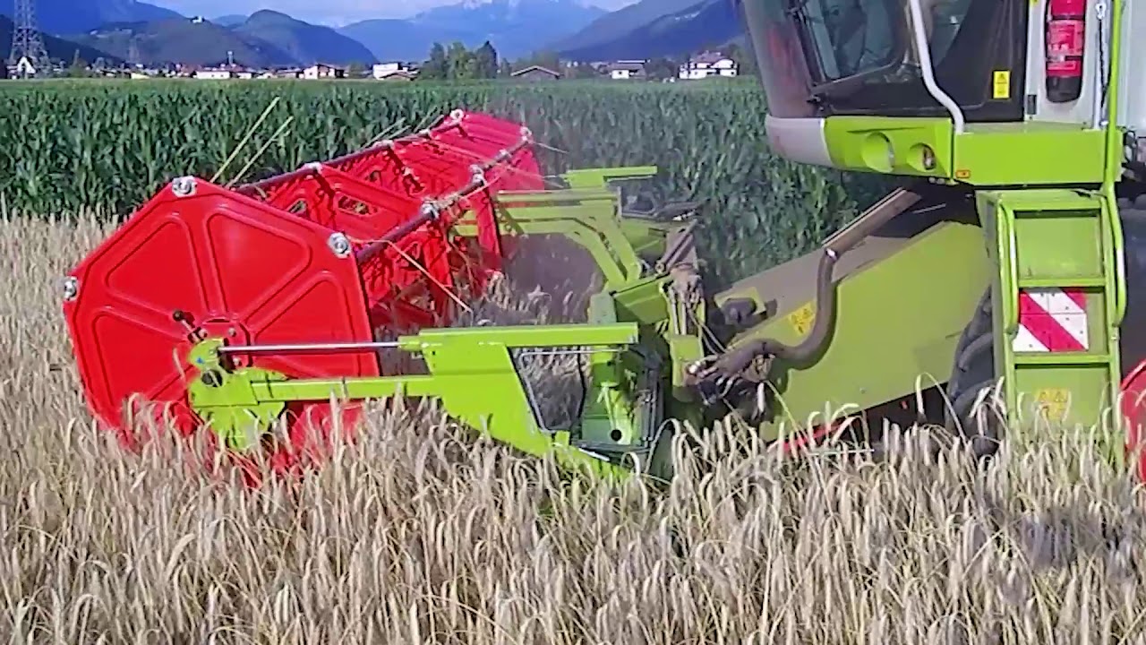 BIOHOF SCHEIRING | Dreschen 2018 CLAAS TUCANO 420