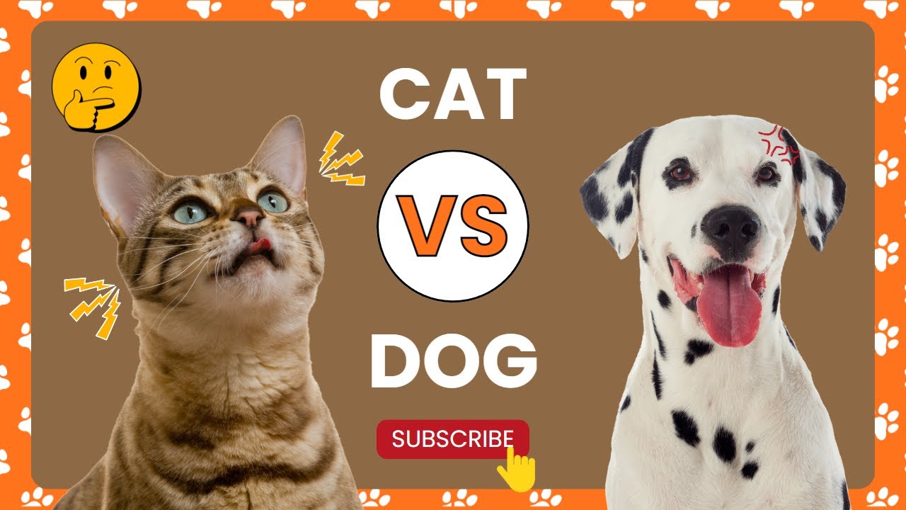Amusing Antics of Cats and Dogs: Who Has the Most Entertaining Behavior?#shorts1