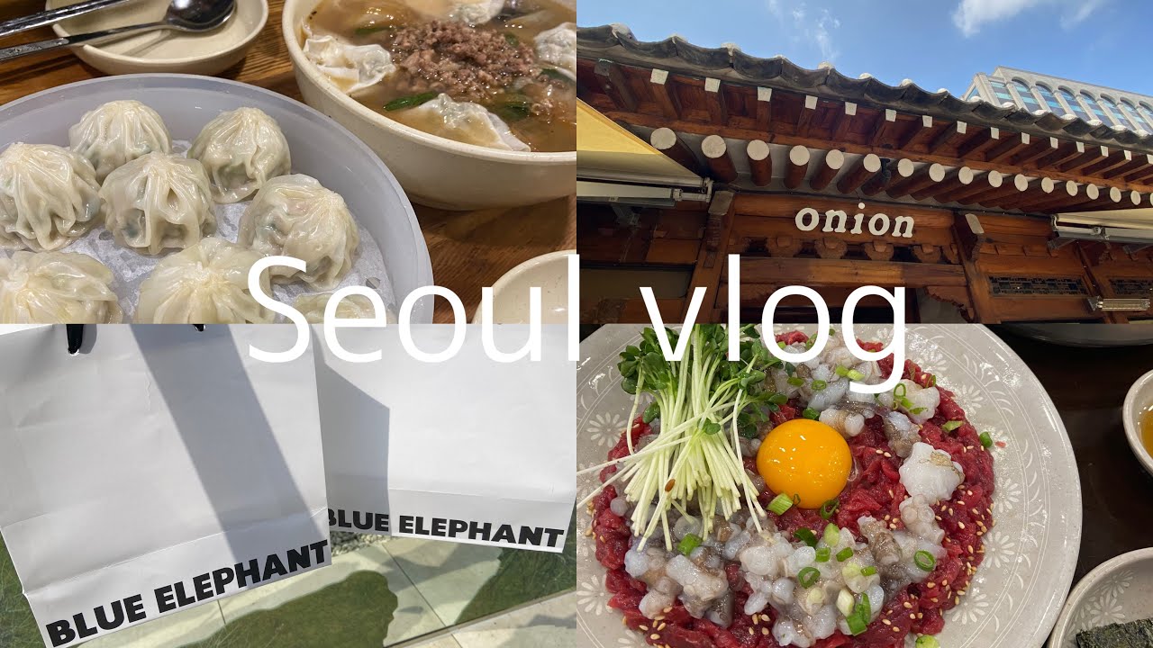 【韓国vlog】初心者が行く2泊3日韓国旅行🇰🇷/onion安国/NIKEカスタム/韓国グルメ/明洞 聖水 広蔵市場/韓国カフェ
