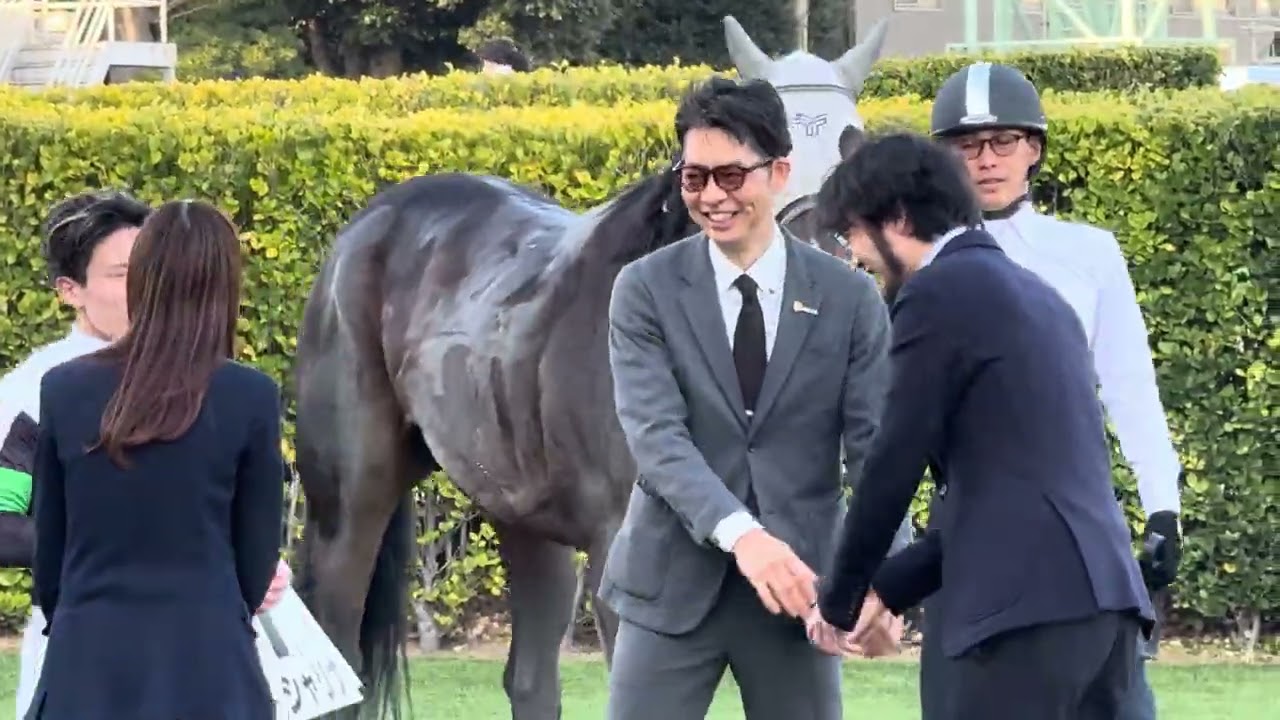 ラストシャリナ、口取り撮影の様子
