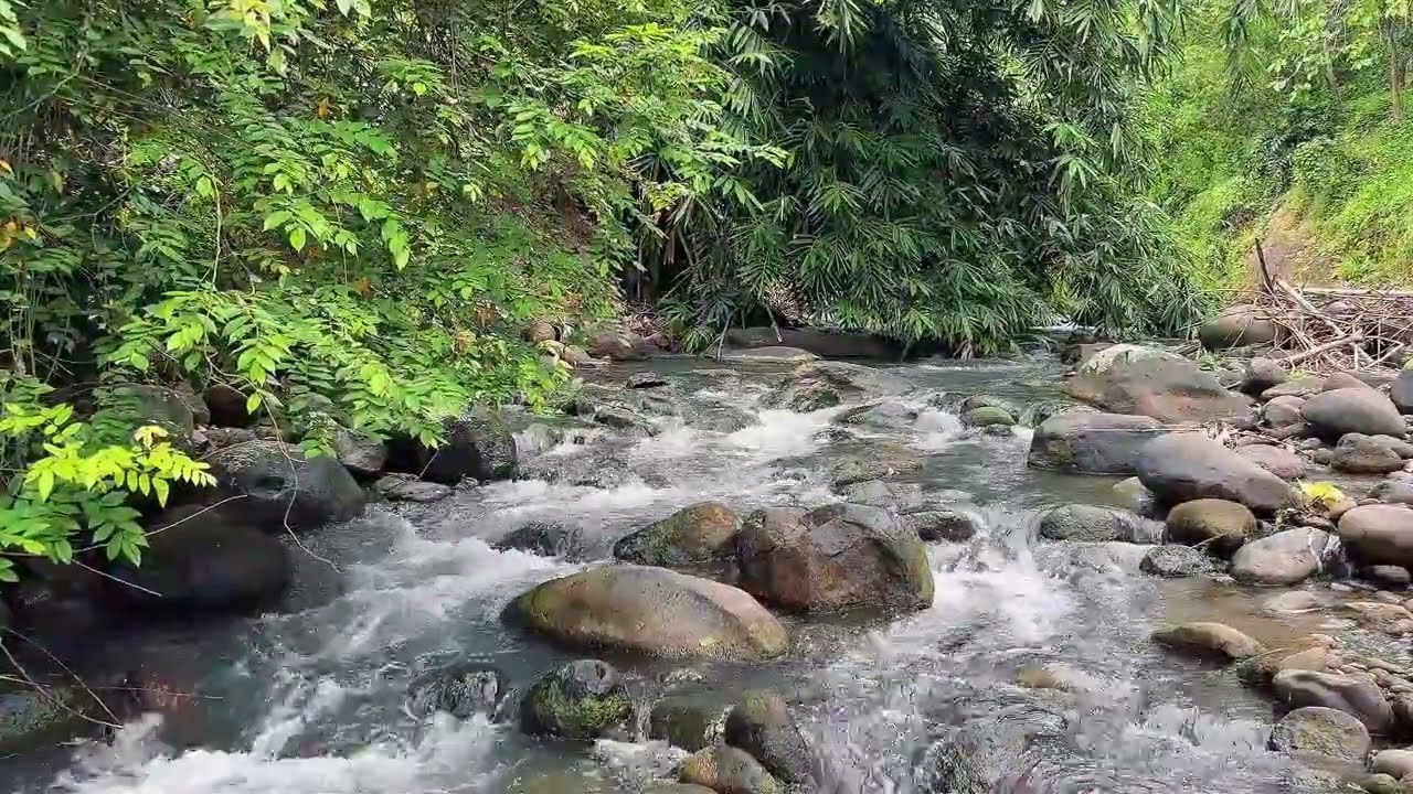 five hours Peaceful Nature River Flow in Lush Forest for Sleep & Relaxation