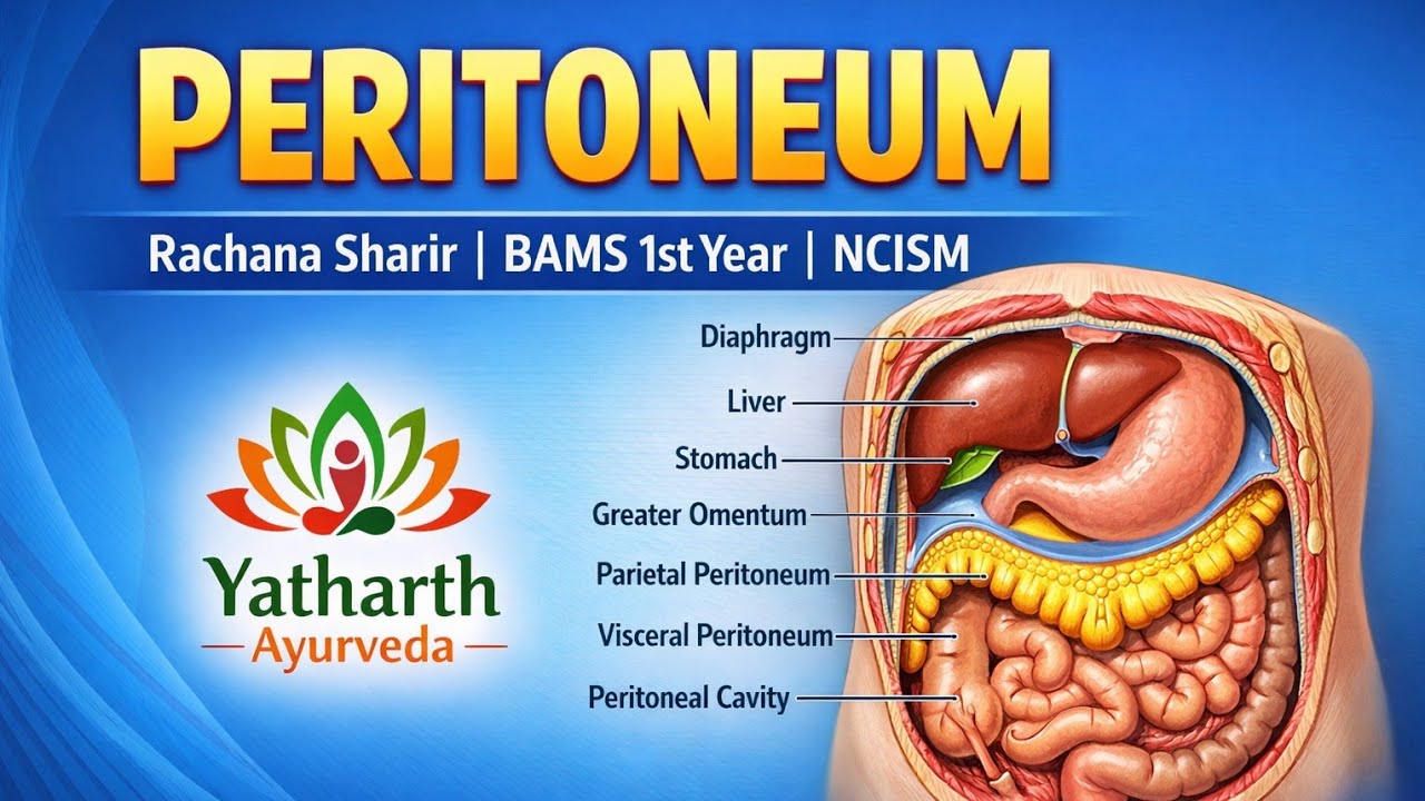 PERITONEUM | RACHANA SHARIR | #ncism #bams #rachana #ayurveda #bams_lecture #anatomy #bamsstudents 
