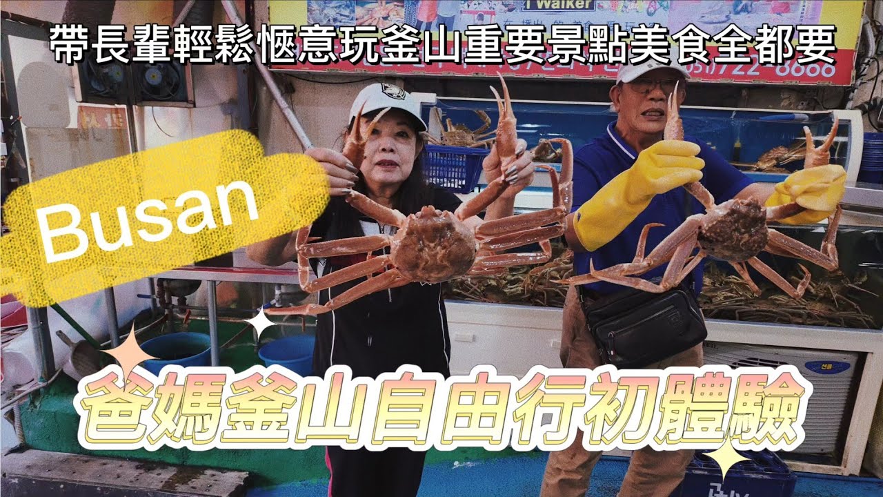 釜山🇰🇷孝親之旅EP.1|西面站豬肉湯飯|機張市場大嗑松葉蟹|帶長輩遊釜山到底行不行