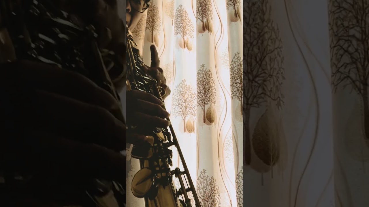 Amazing Grace - cover by Trung Truc Saxophone