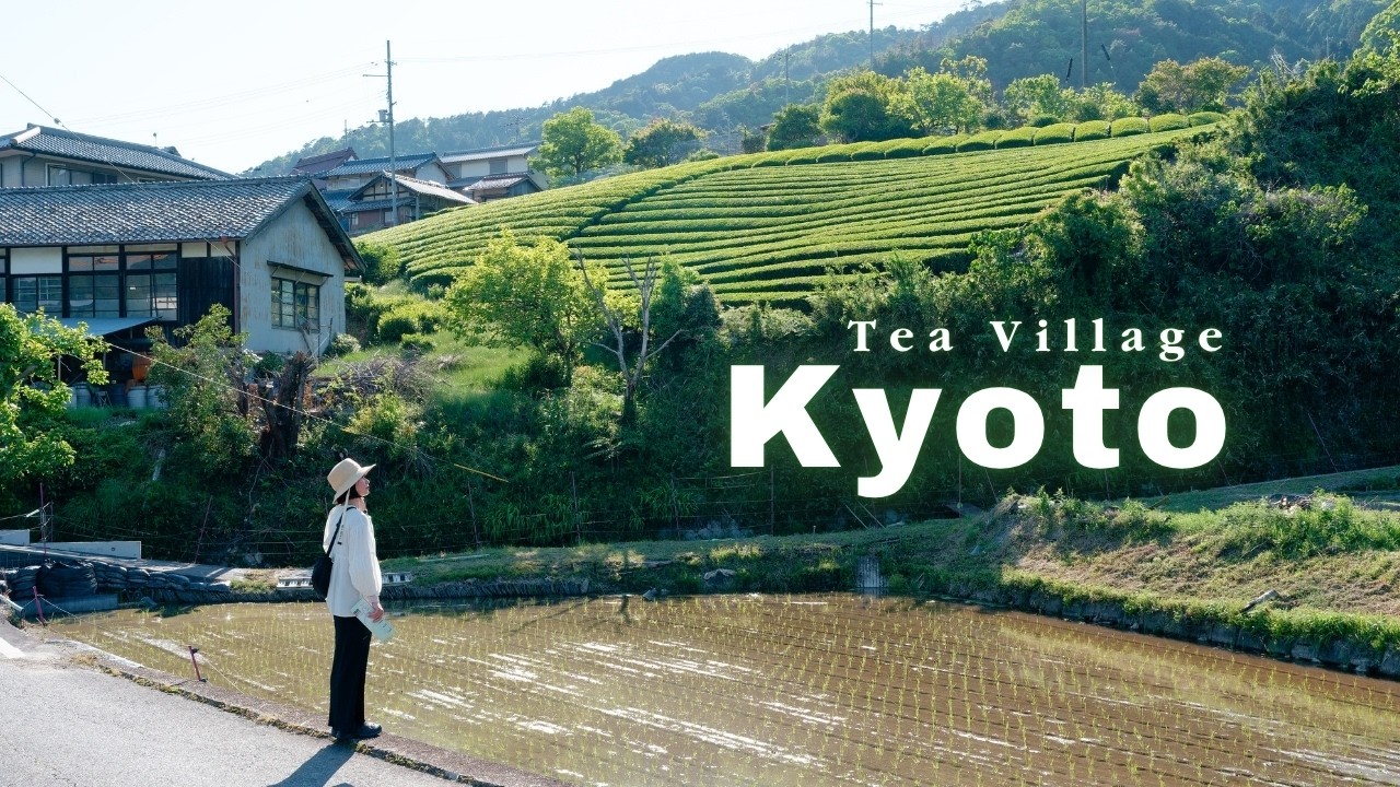 Exploring the Tea Fields of Wazuka, Kyoto 🌱 Home of Uji Tea | Rural Japan