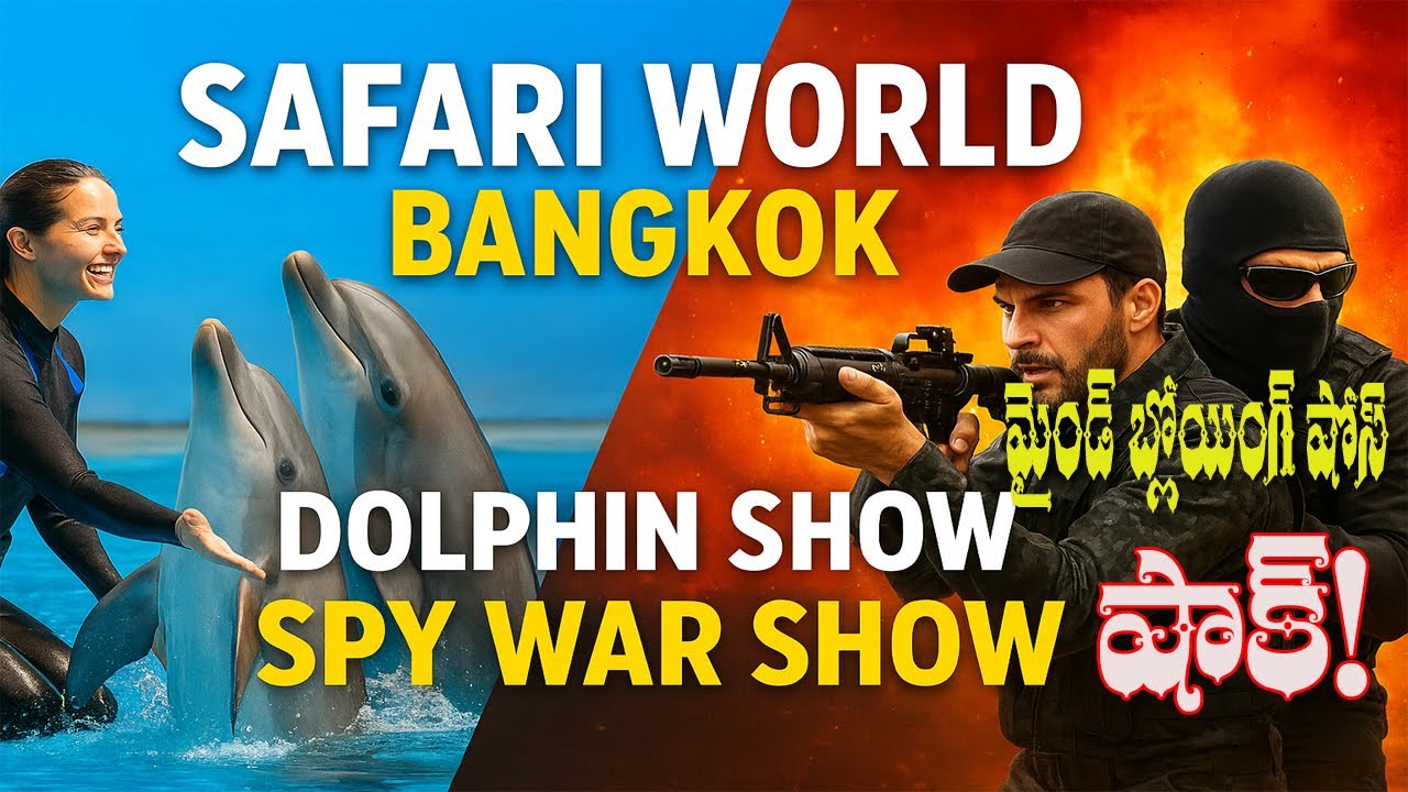 Safari World's AMAZING Dolphin and Spy Shows! || Dolphin show, Safari World, Bangkok