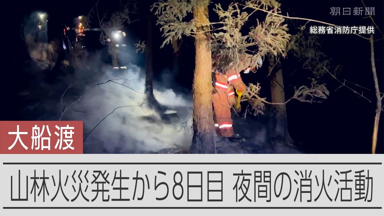 岩手・大船渡の山林火災８日目　夜間でも活動続く