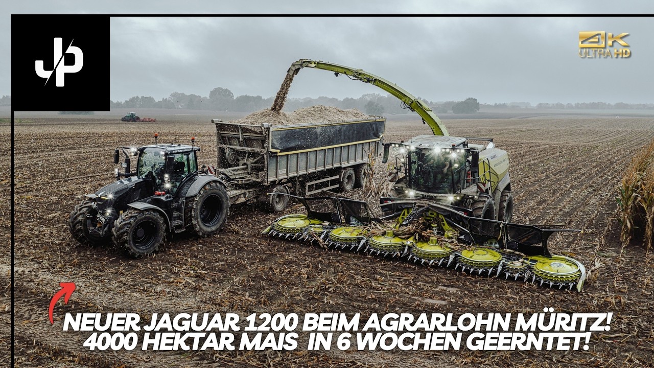 Maisernte 2025 mit dem neuen Claas Jaguar 1200! || JP Agrar