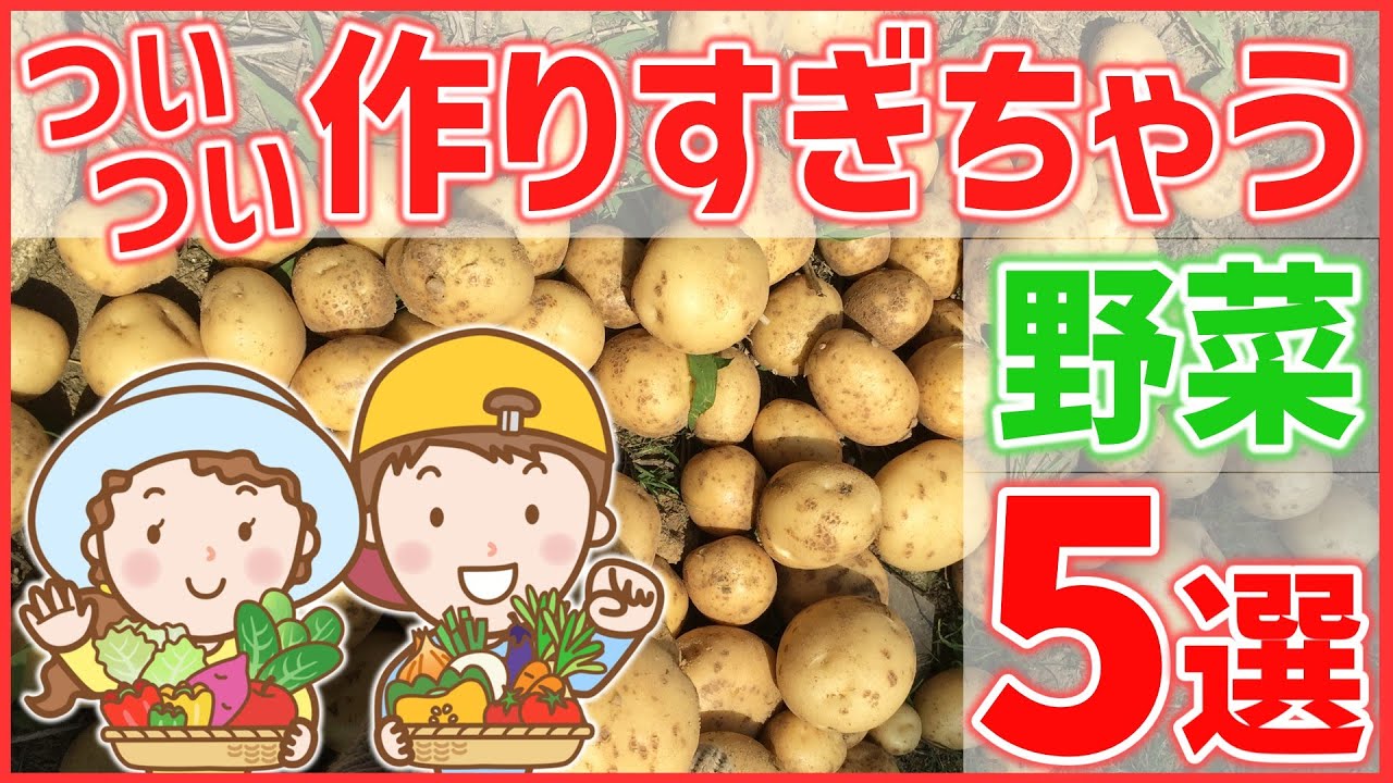 【家庭菜園】楽しくて、食べきれないほど栽培してしまう野菜を５種類ご紹介
