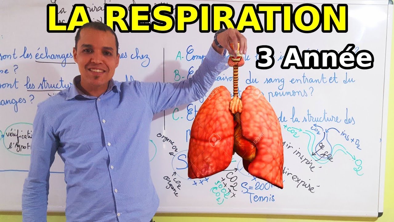 La respiration chez l'Homme 3ème année (Partie 1) #stayhome
