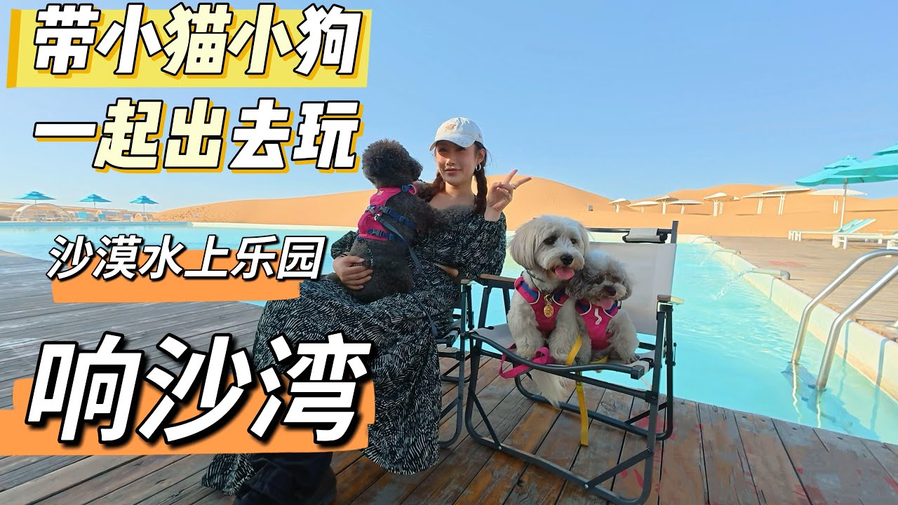 沙漠热浪里的清凉暴击！我们见到了藏在沙海间的水上乐园！