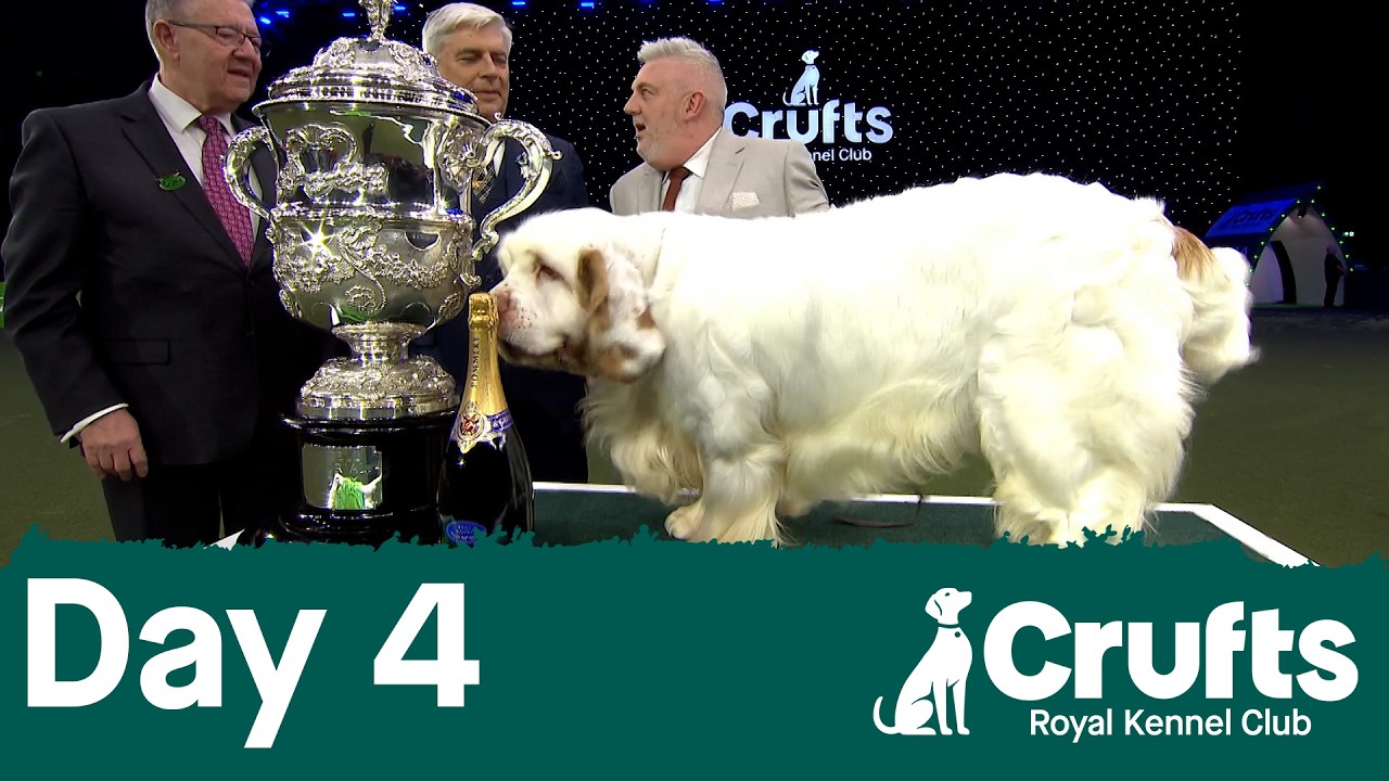 Crufts 2026, вы были волшебны!
