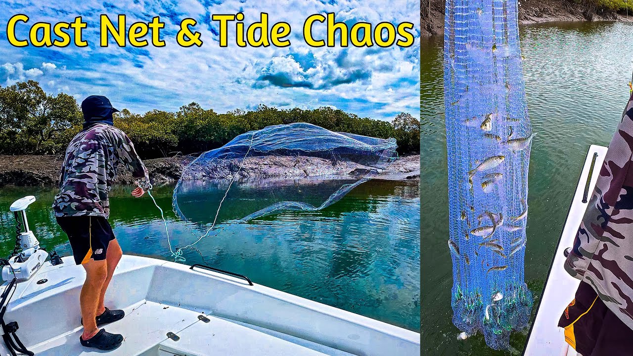 Exploring A New Creek Gone Wrong! Cast Net Bait, Flathead Fishing & Tide Trap in Hervey Bay