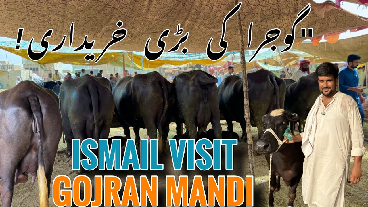 Ismail Jutt Visit Gojran Mandi