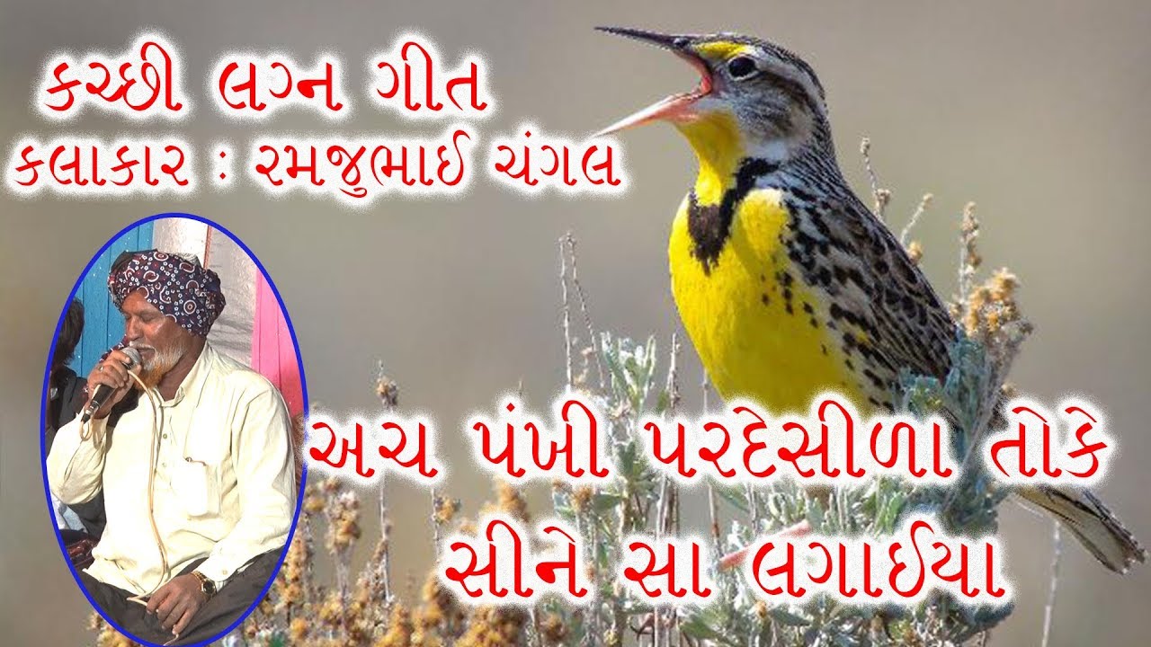 ACHO PAKHI PARDESI | RAMJU CHANGAL | KUTCHI RASUDA | SAHEB STUDIO DUDHAI