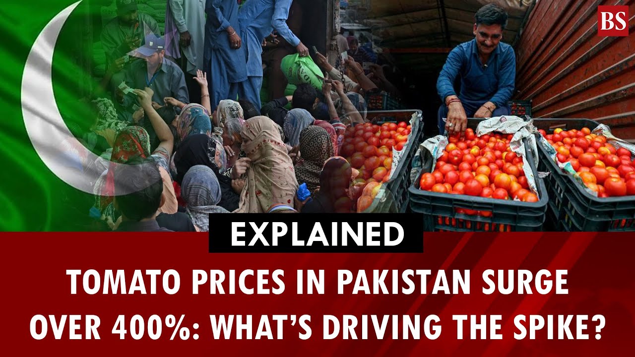 Explained: Tomato prices in Pakistan surge over 400%: What&rsquo;s driving the spike | Pak-Afghan tension