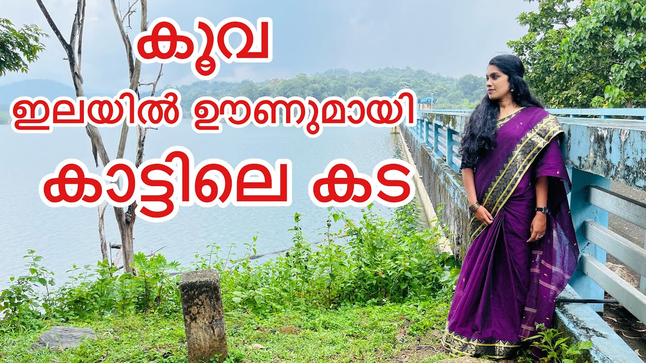 കാടിനു നടുവിലൊരു ഊണും പേപ്പാറ ഡാമും | Peppara Dam | Vithura | Thiruvananthapuram | Kerala