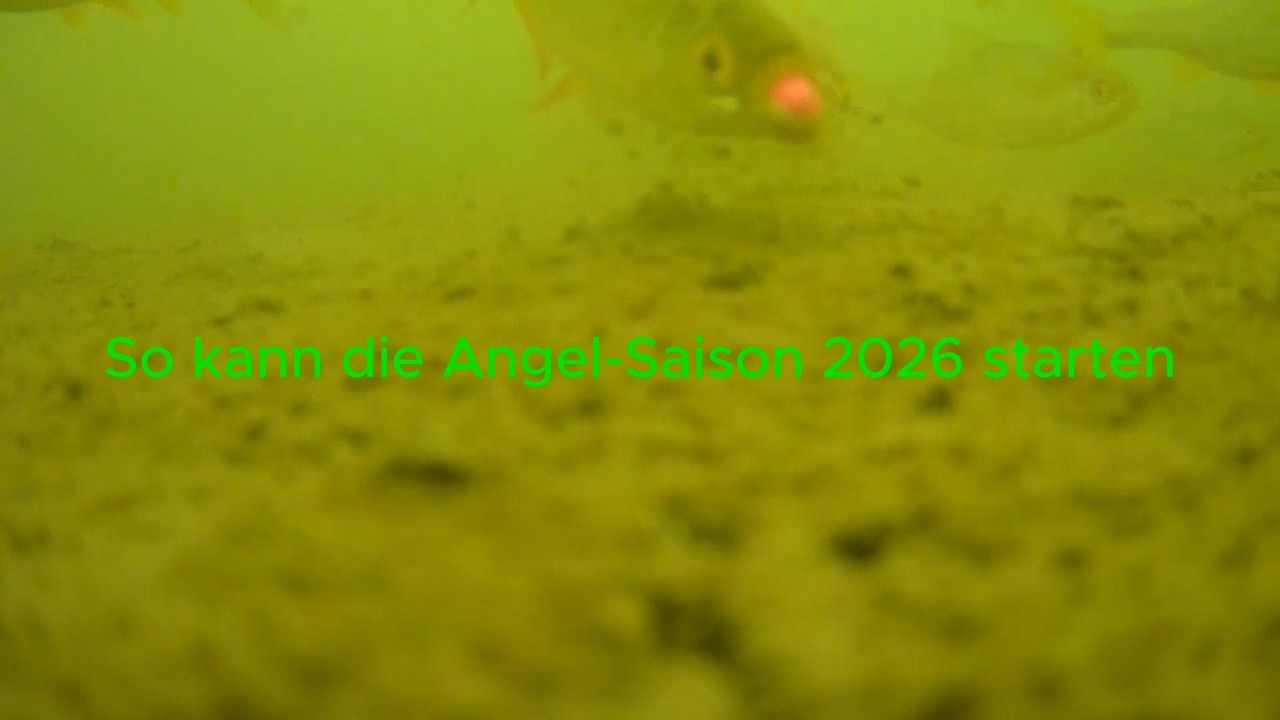 Angeln 2026