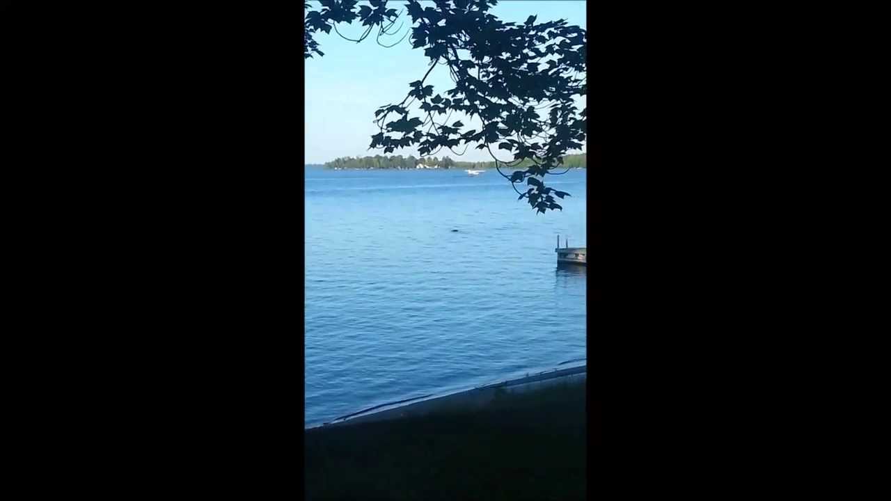 Cessna 180 float plane one hour flight