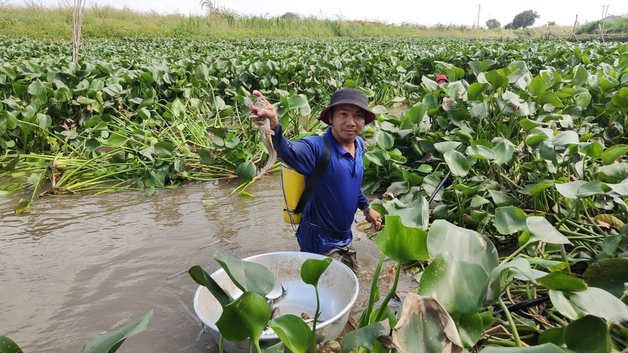 xiệt cá tra cá trê lóc bên cồn trúng đậm rồi 