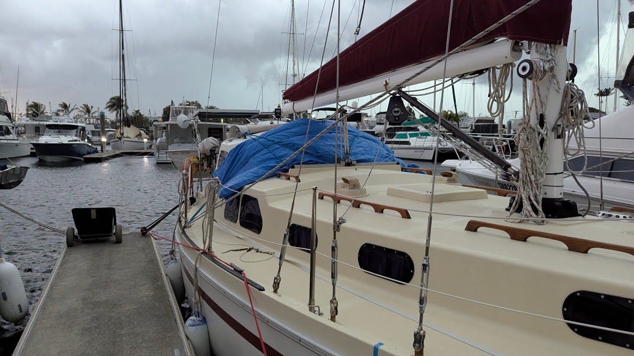 День 200 | Питер и Докси идут под парусом из залива Херви в залив Тин-Кэн | Пролив Грейт-Сэнди и ...