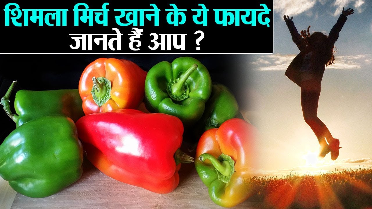 Capsicum Health Benefits: जानिए शिमला मिर्च खाने के कमाल के फायदे | Jeevan Kosh