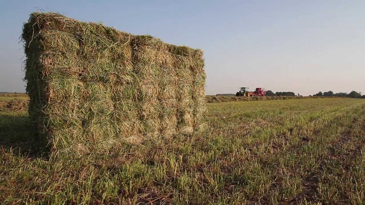 How it Works Video Marcrest