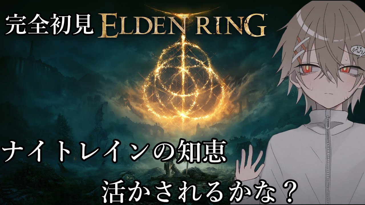 【ELDEN RING】ナイトレイン楽しかったので王にでもなろうかと思います#2