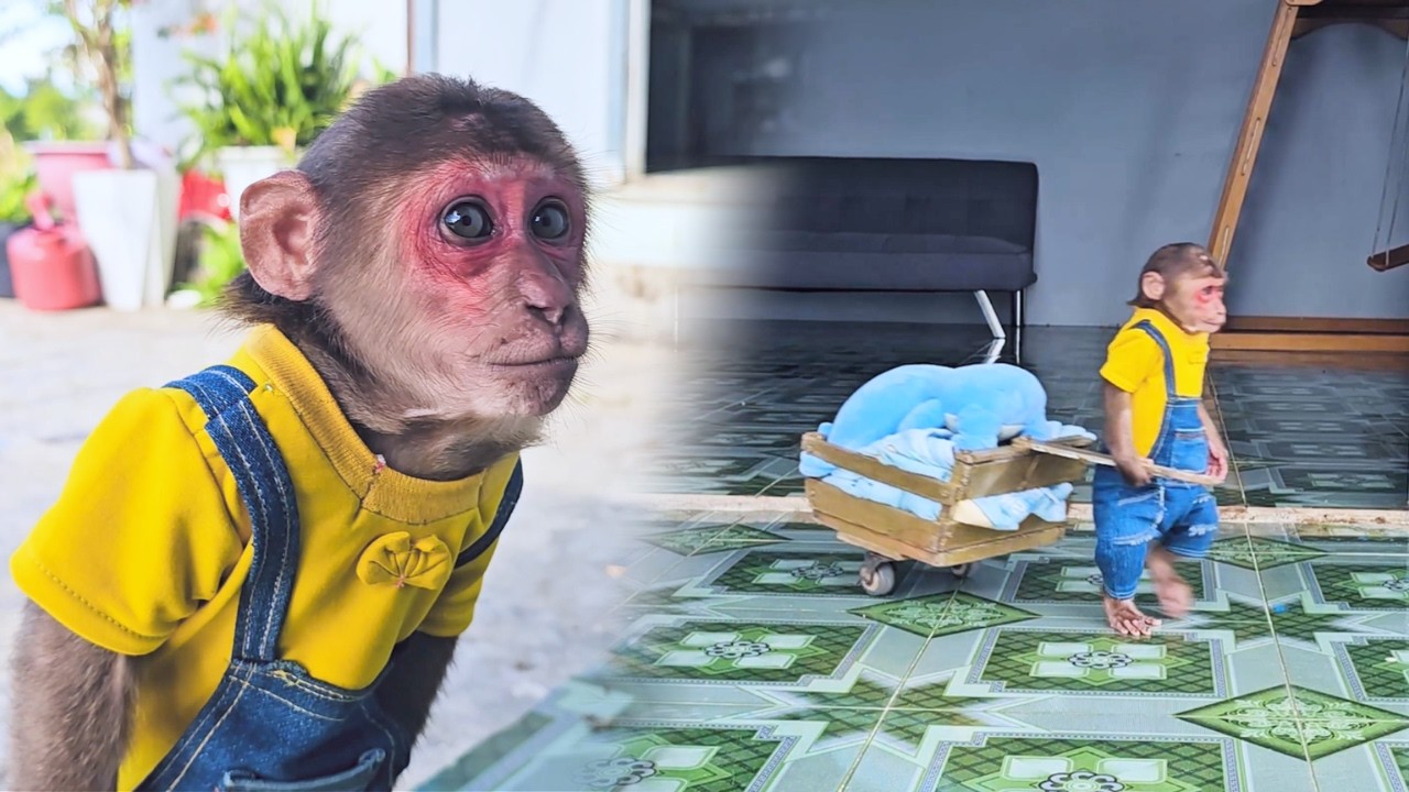 Secret Picnic! SU's Hilarious Plan to Sneak Food & Go Alone!