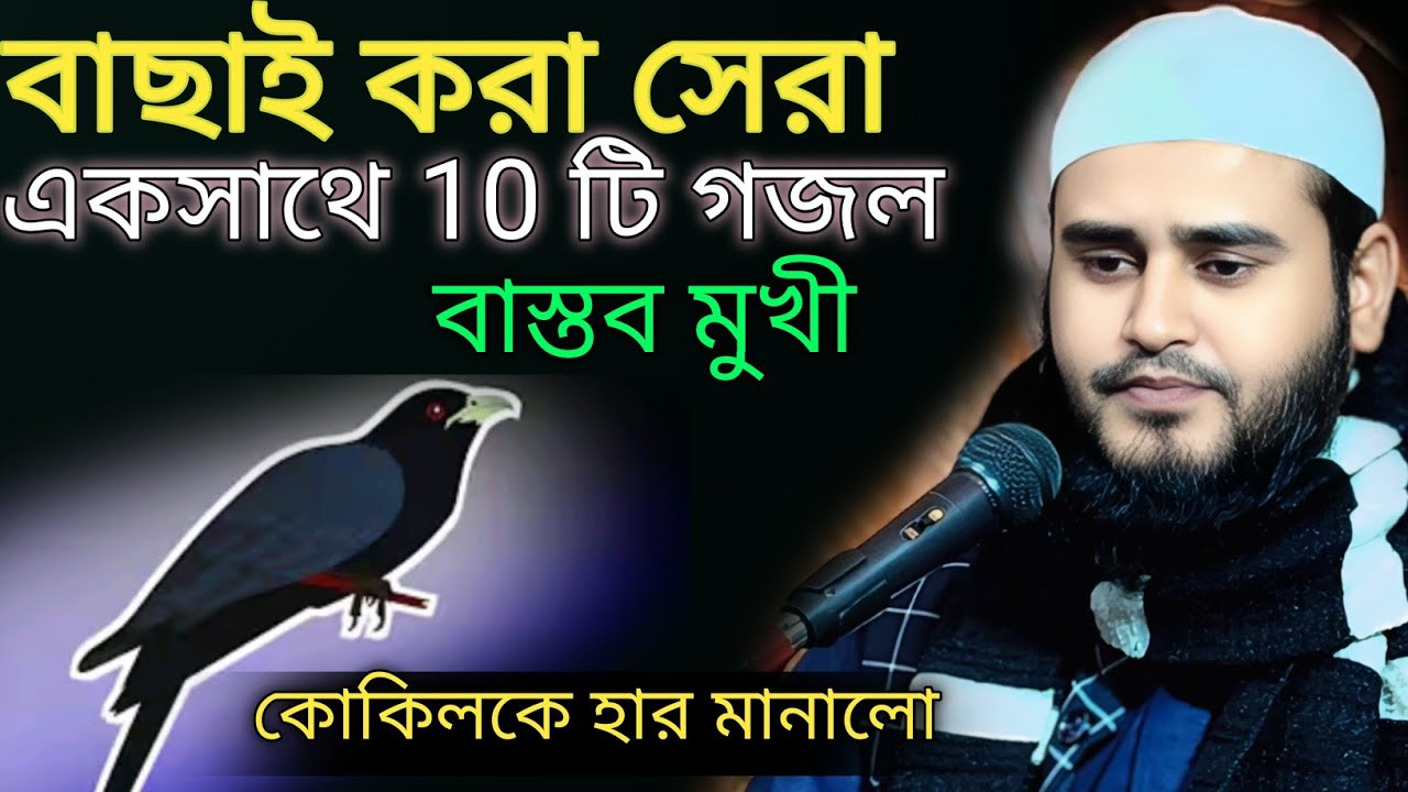 বাছাই করা সেরা 10 টি গজল মাওঃ হায়দার আলী সালাফী মুর্শিদাবাদMaulana Haidar Ali Salafi #banglagazal 