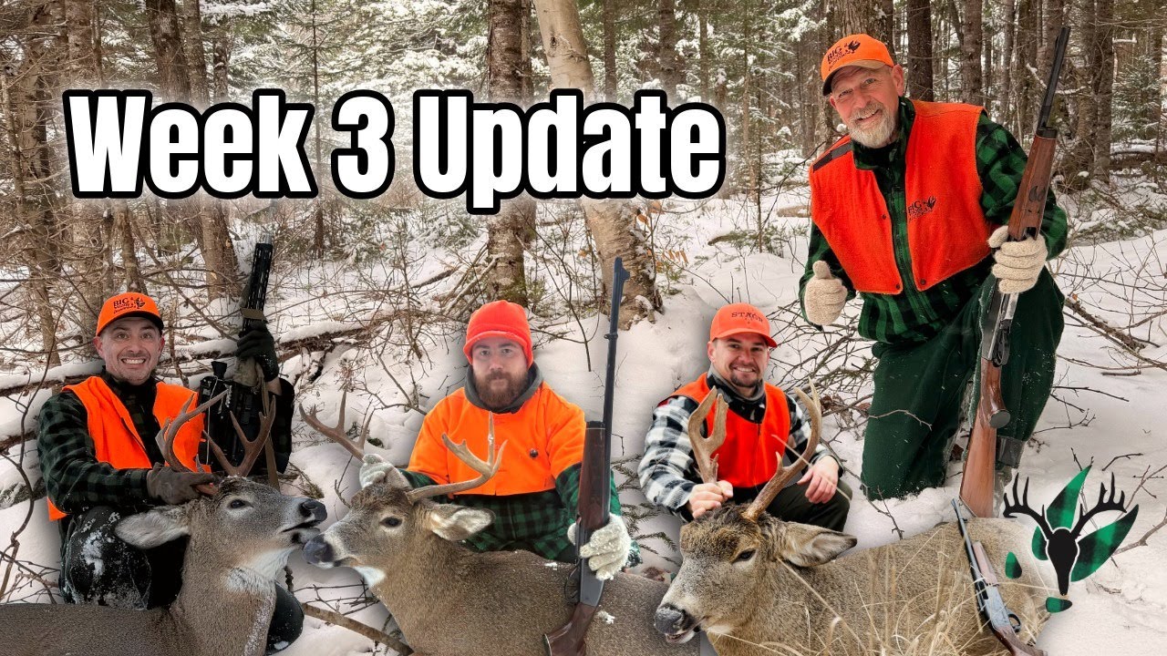 Обновление сезона оленей, неделя 3 | Подкаст Big Woods Bucks, выпуск 183
