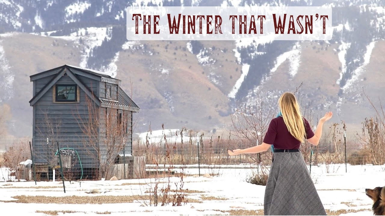 The Winter that Wasn't - Sights & Sounds Around Our Homestead - Unusually Warm & Almost No Snow