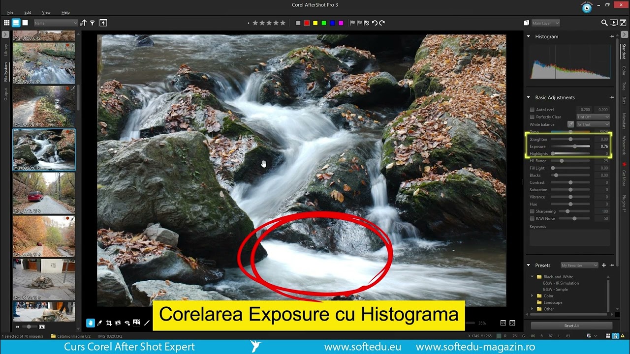 Curs Corel AfterShot, Histograma imaginii