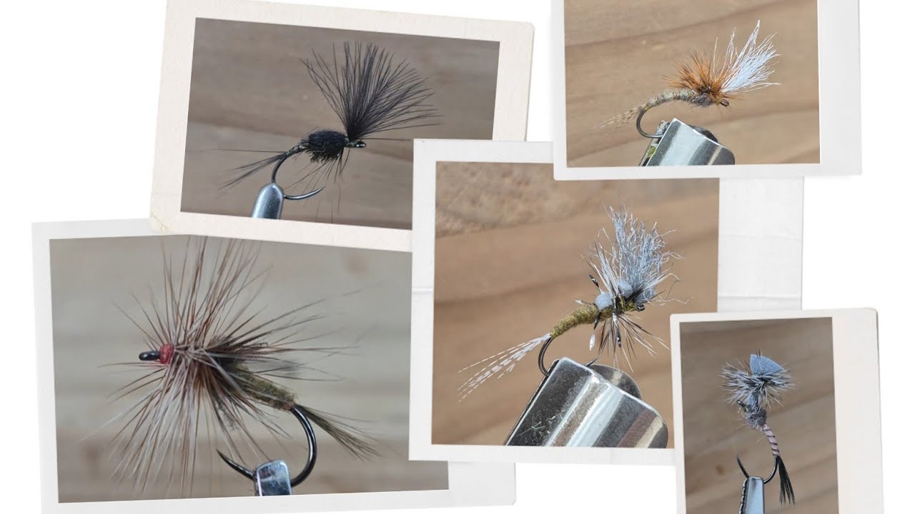 Five Flies Mayfly Emergers