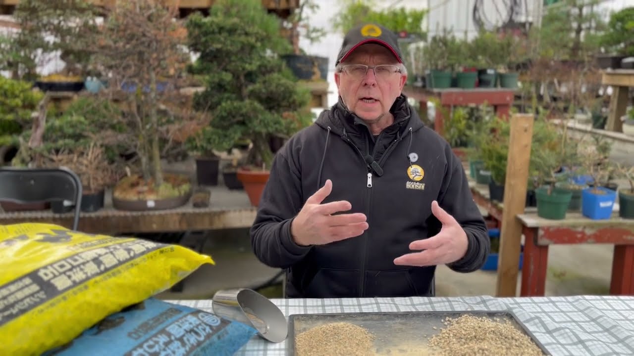La pumice. À quoi ça sert ? Dans quelle proportion l'utiliser ?