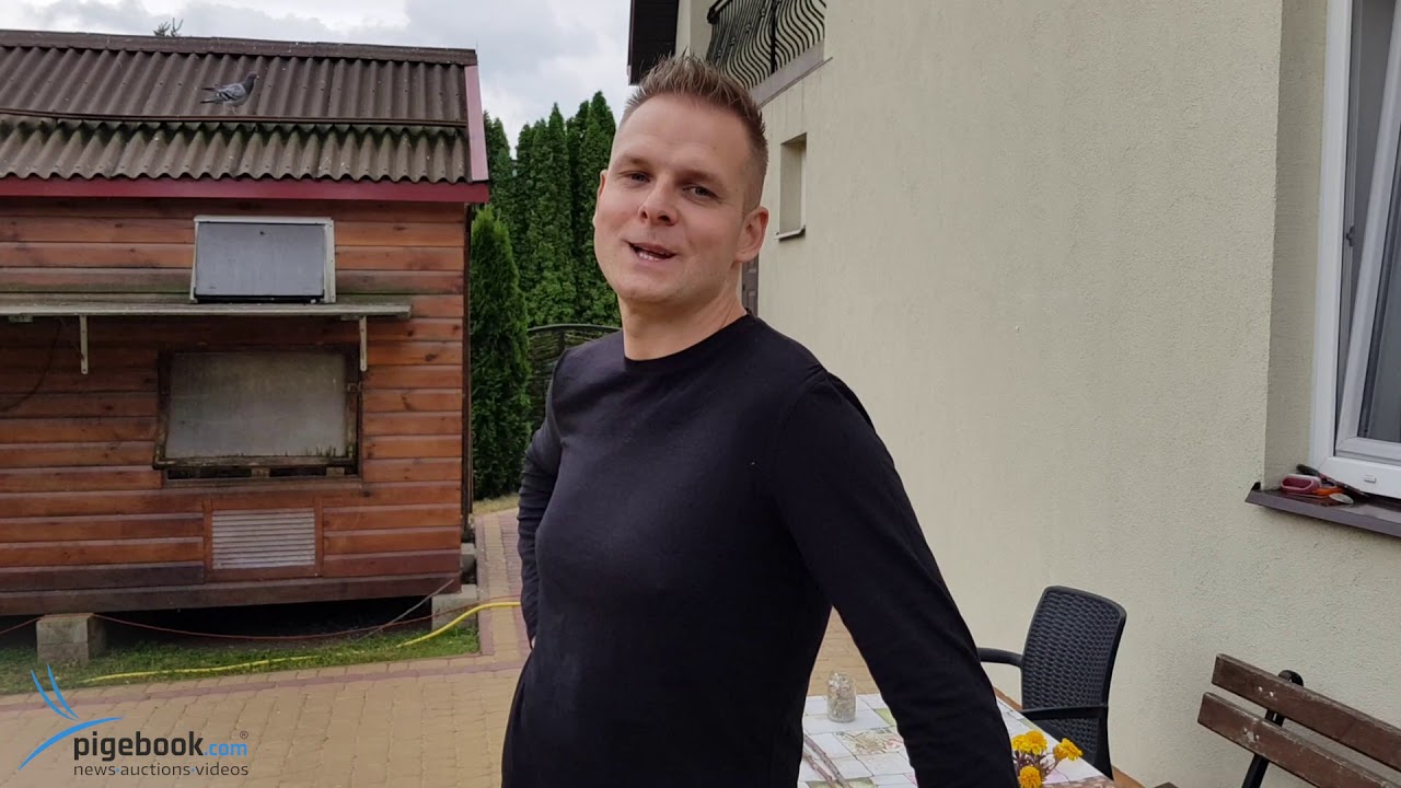 Tomasz Dąbrowski - PZHGP 04 Piaseczno / Przylot Gołębi Z Lotu !
