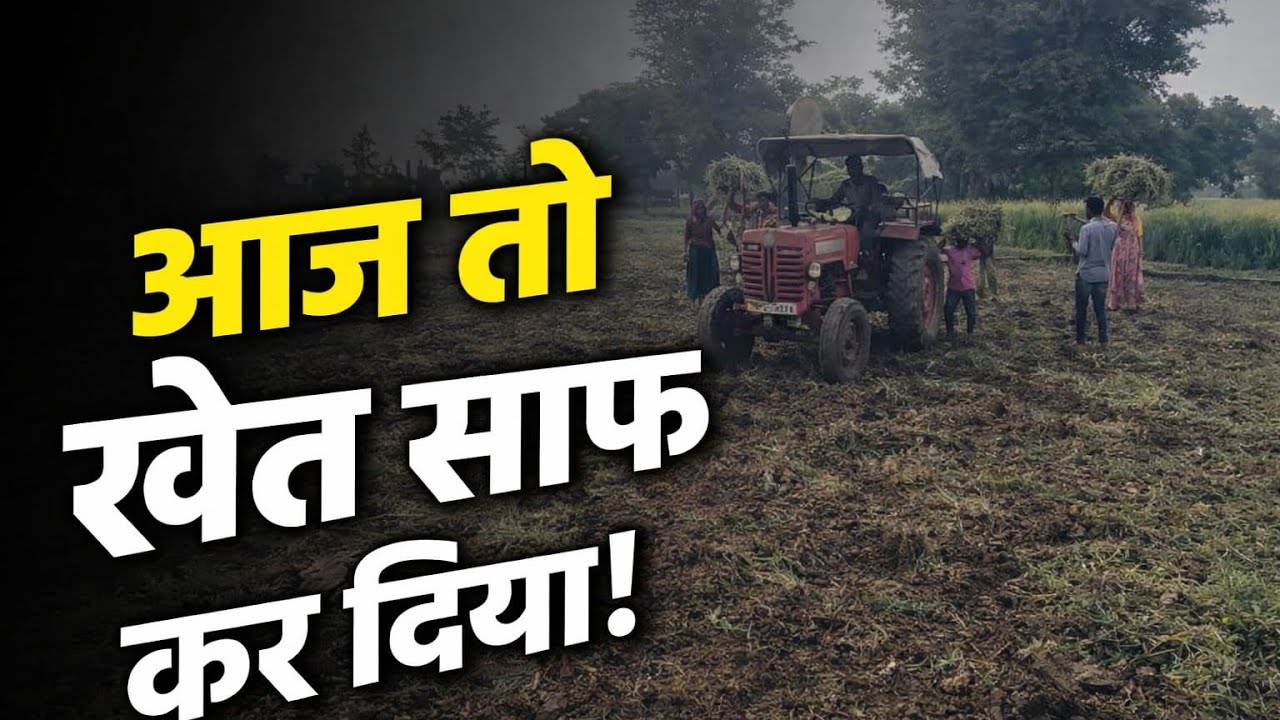 265 sa aaj troli kechi 👍or bhut den ka bad troli chali ⚠️ mahindra sa #farming #mahindra #popular 
