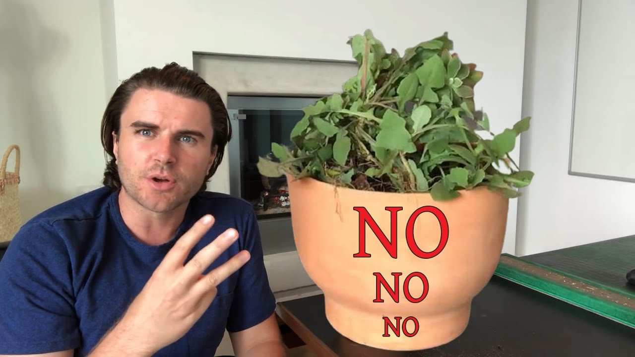 No, no, no, no, no