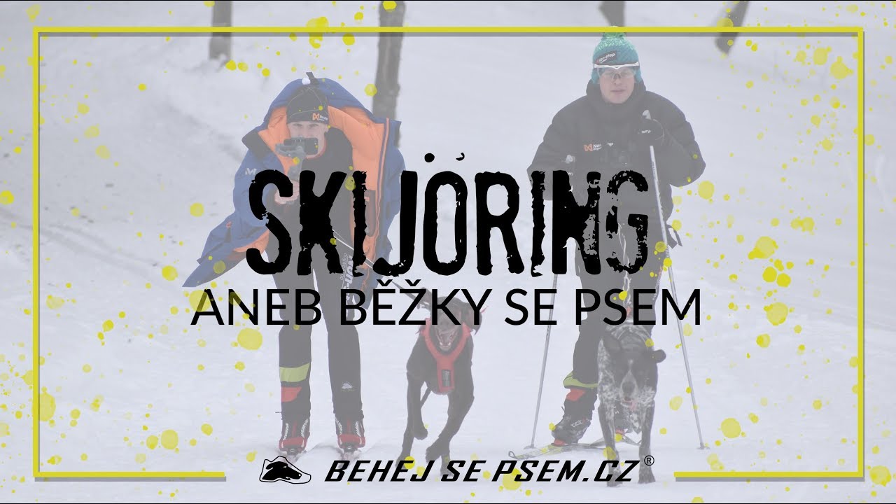 Na běžky se psem 1. díl | SKIJORING