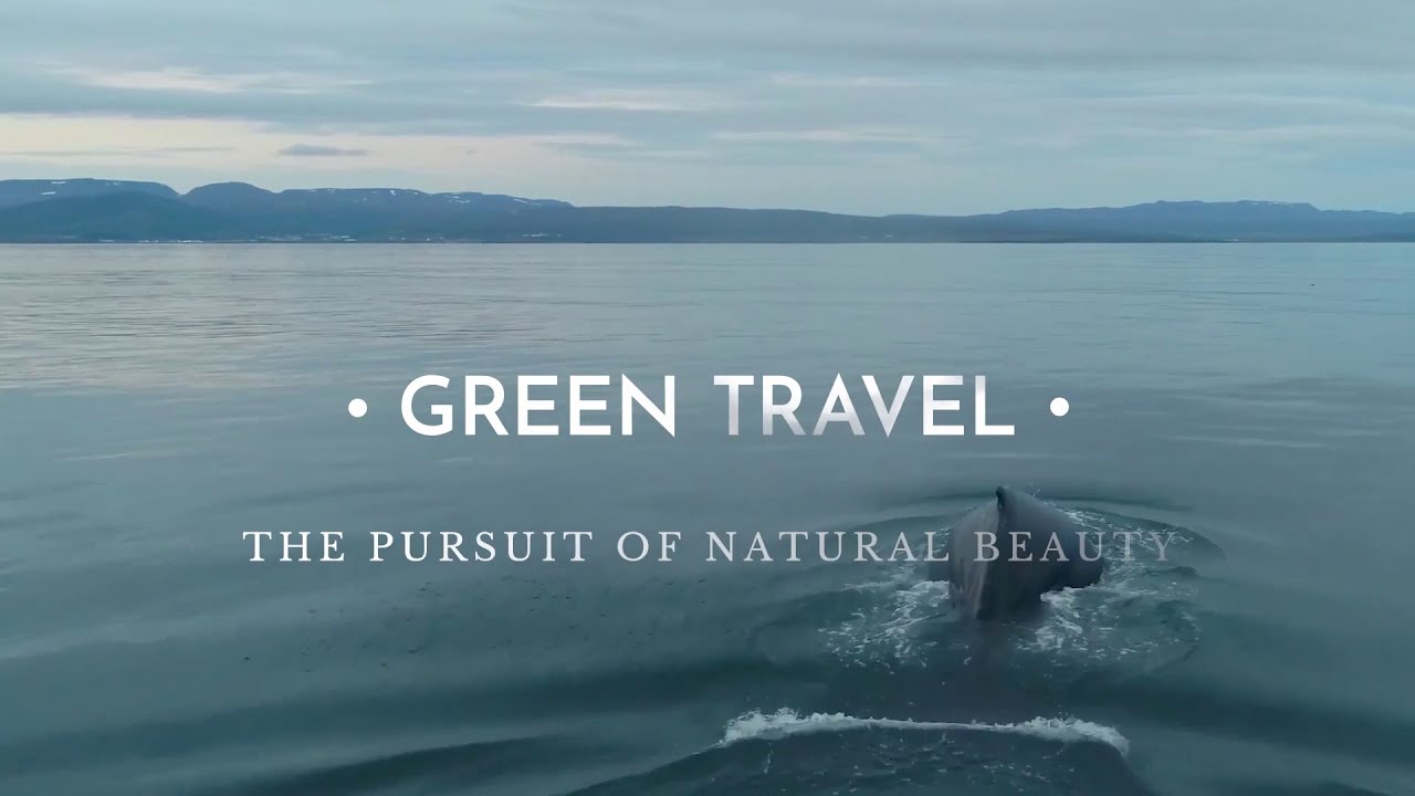 Tofino Wilderness Resort , Clayoquot Sound BC - Boutique Resort Investment. A well-timed opportunity