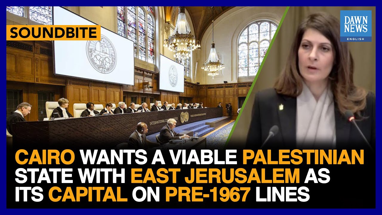 “Cairo Wants A Viable Palestinian State With East Jerusalem As Its Capital” | ICJ |Dawn News English