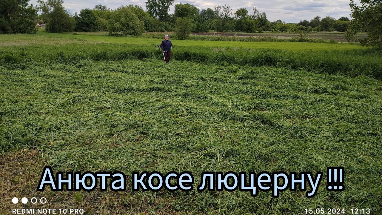 Безщіткова акумуляторна коса Grand АТГ-21     Косе люцерну.